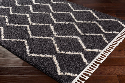 Berber Shag BBE-2306 5' x 7' Machine Woven Area Rug