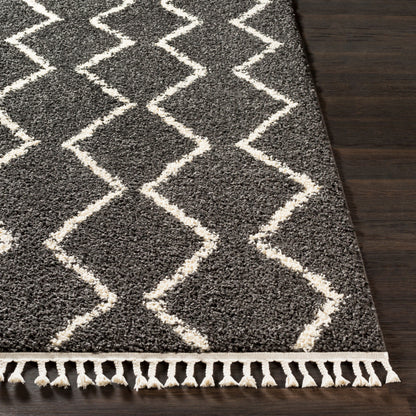 Berber Shag BBE-2306 2' x 3' Machine Woven Accent Rug