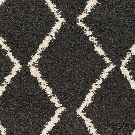 Berber Shag BBE-2306 5' x 7' Machine Woven Area Rug