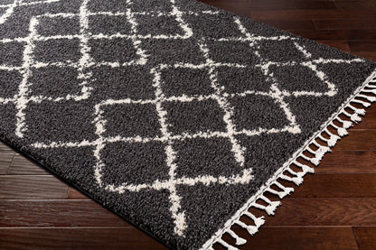 Berber Shag BBE-2307 6' x 9' Machine Woven Area Rug