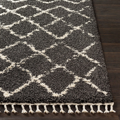 Berber Shag BBE-2307 5' x 7' Machine Woven Area Rug