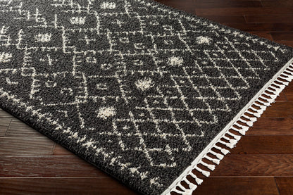 Berber Shag BBE-2308 2' x 3' Machine Woven Accent Rug