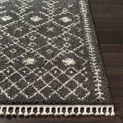 Berber Shag BBE-2308 3' x 5' Machine Woven Accent Rug