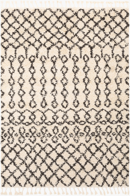 Berber Shag BBE-2309 2' x 3' Machine Woven Accent Rug