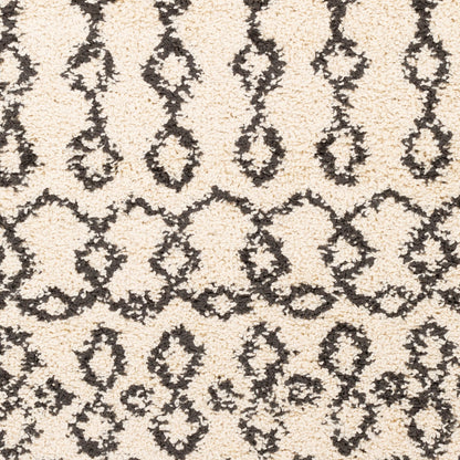 Berber Shag BBE-2309 6' x 9' Machine Woven Area Rug