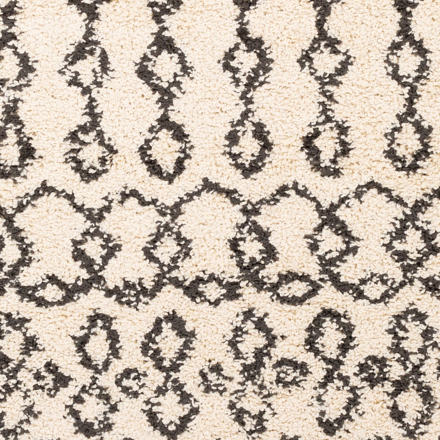 Berber Shag BBE-2309 5' x 7' Machine Woven Area Rug