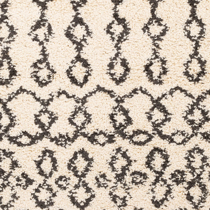 Berber Shag BBE-2309 6' x 9' Machine Woven Area Rug