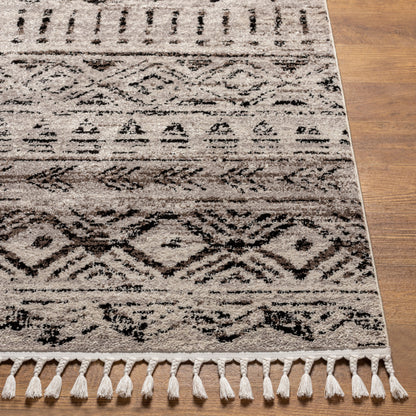 Blackburn BBN-2302 6' x 9' Machine Woven Area Rug