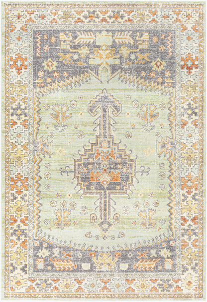 Bodrum BDM-2334 5' x 7' Machine Woven Indoor/Outdoor Area Rug