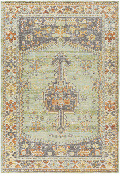 Alfombra tejida a máquina para interior y exterior Bodrum BDM-2334 de 2,7 x 3,6 m