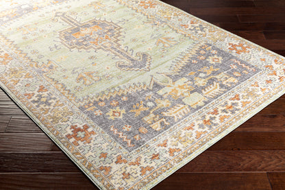 Bodrum BDM-2334 5' x 7' Machine Woven Indoor/Outdoor Area Rug