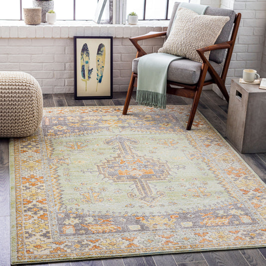 Bodrum BDM-2334 7' x 9' Machine Woven Indoor/Outdoor Area Rug