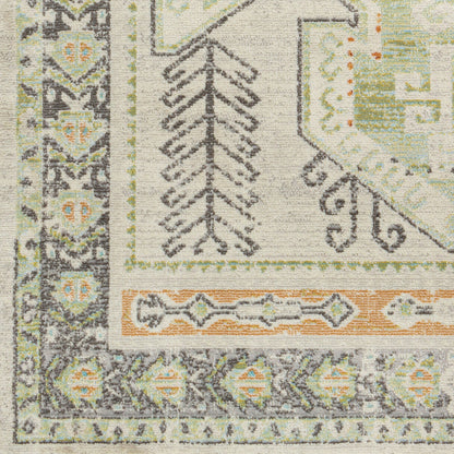 Alfombra tejida a máquina para interior y exterior Bodrum BDM-2337 de 2,7 x 3,6 m