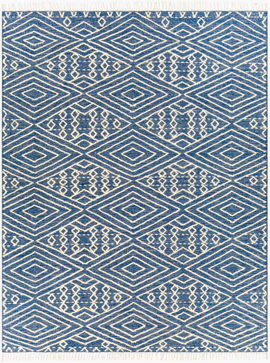 Bedouin BDO-2309 2' x 3' Handmade Accent Rug