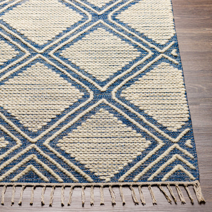 Bedouin BDO-2317 2' x 3' Handmade Accent Rug