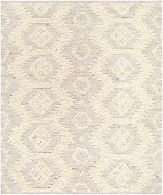 Alfombra de lana hecha a mano Bremen BEN-2306 de 8' x 10'