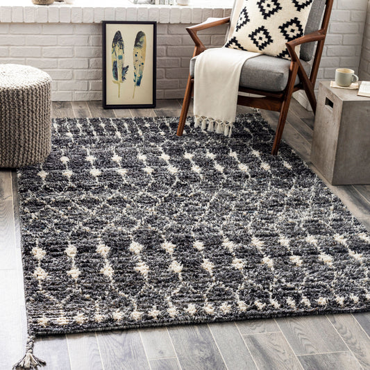 Birch BHC-2301 2' x 3' Handmade Recyled Accent Rug