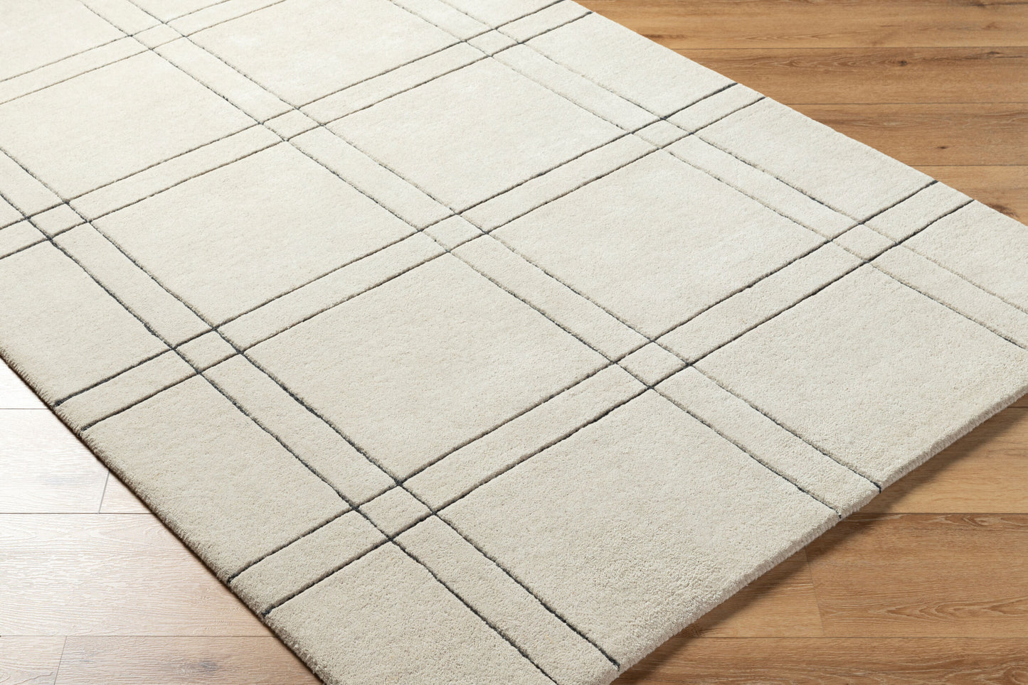 Alfombra decorativa de lana hecha a mano Brook BKO-2356 de 2' x 3'