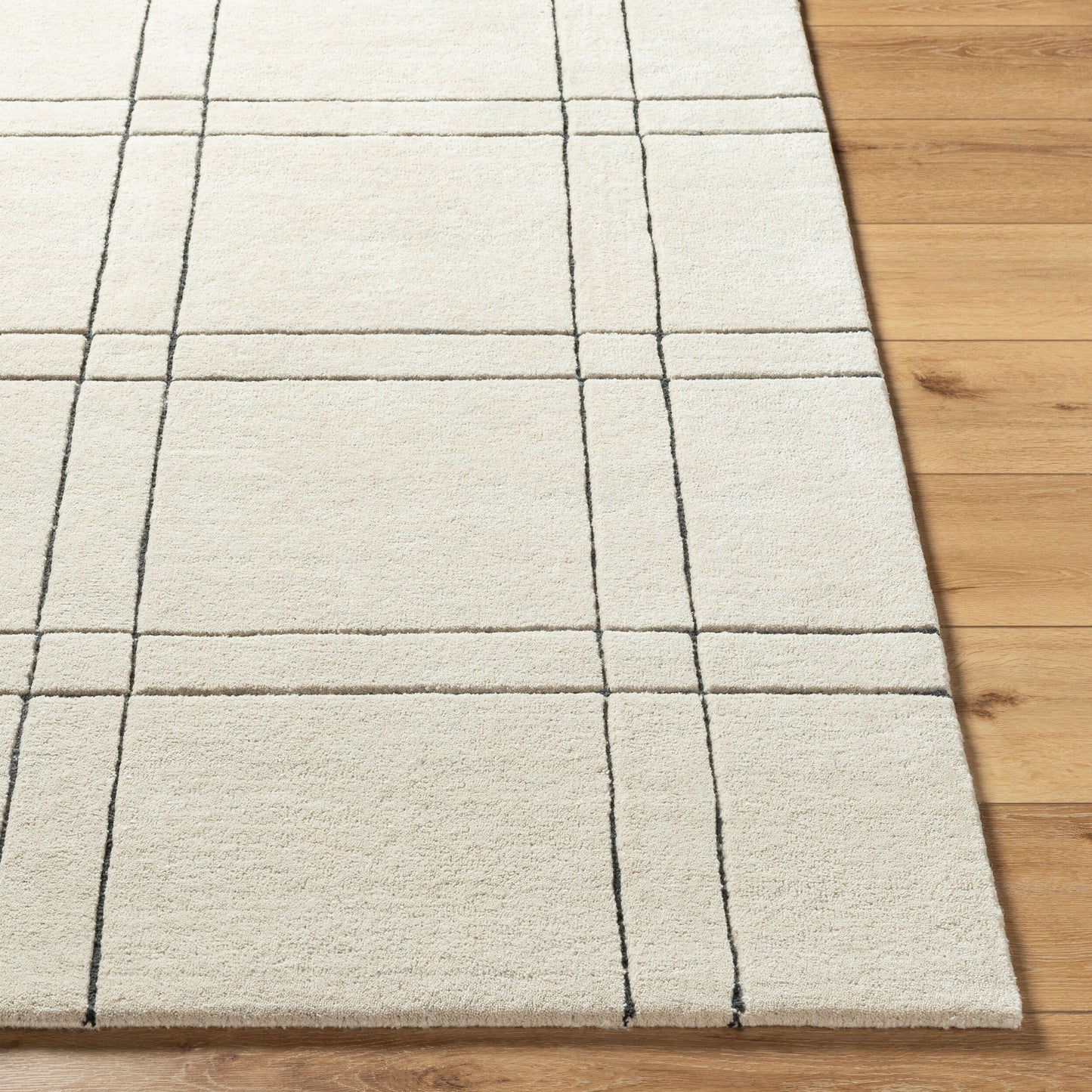 Alfombra decorativa de lana hecha a mano Brook BKO-2356 de 2' x 3'