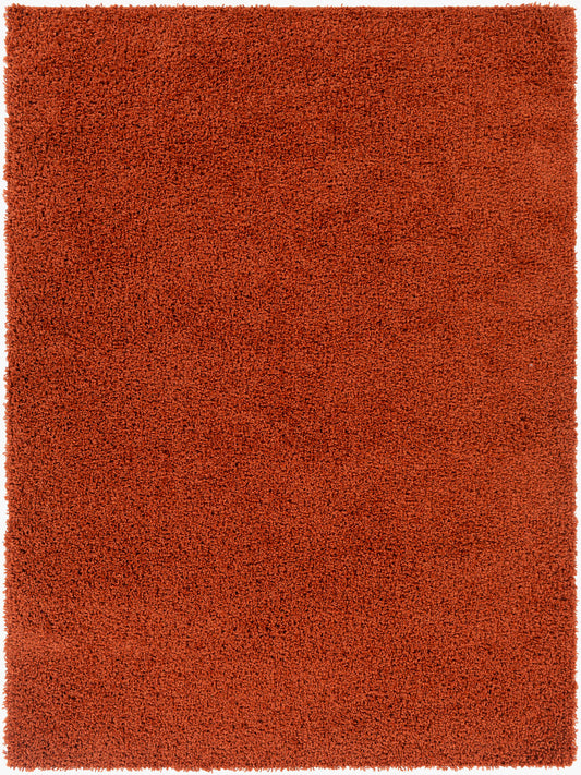 Bliss Shag BLI-2302 5' x 7' Machine Woven Area Rug
