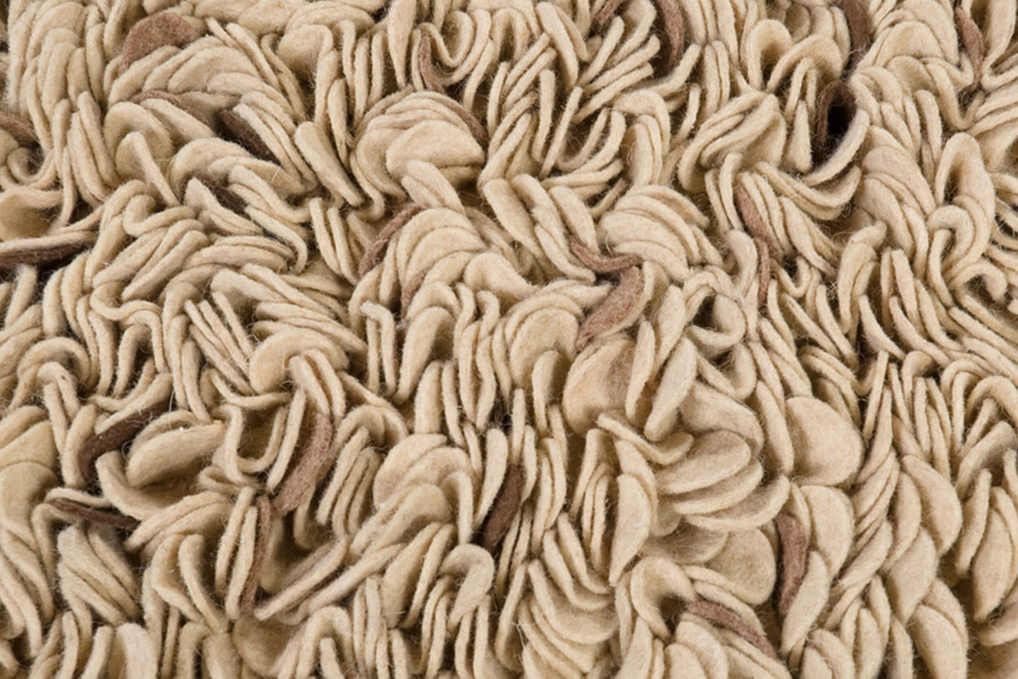 Alfombra decorativa de lana hecha a mano Blossom BLO-1005 de 2' x 3'