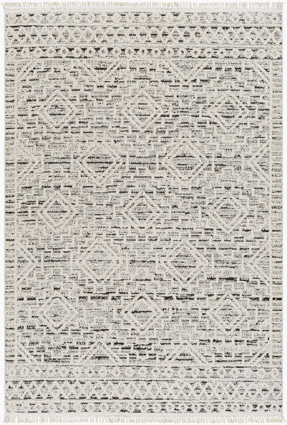 Berlin BLR-2300 6' x 9' Machine Woven Area Rug
