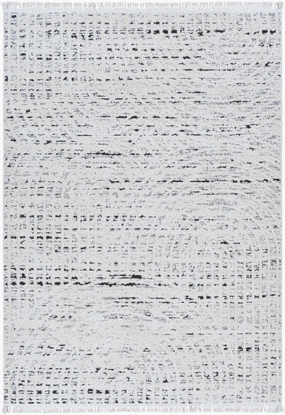 Berlin BLR-2303 6' x 9' Machine Woven Area Rug