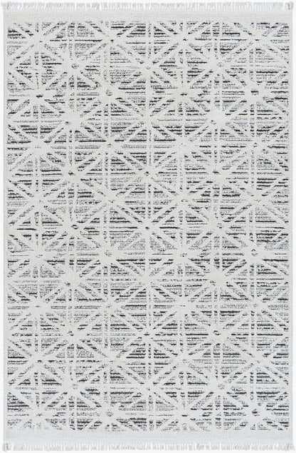 Berlin BLR-2304 6' x 9' Machine Woven Area Rug