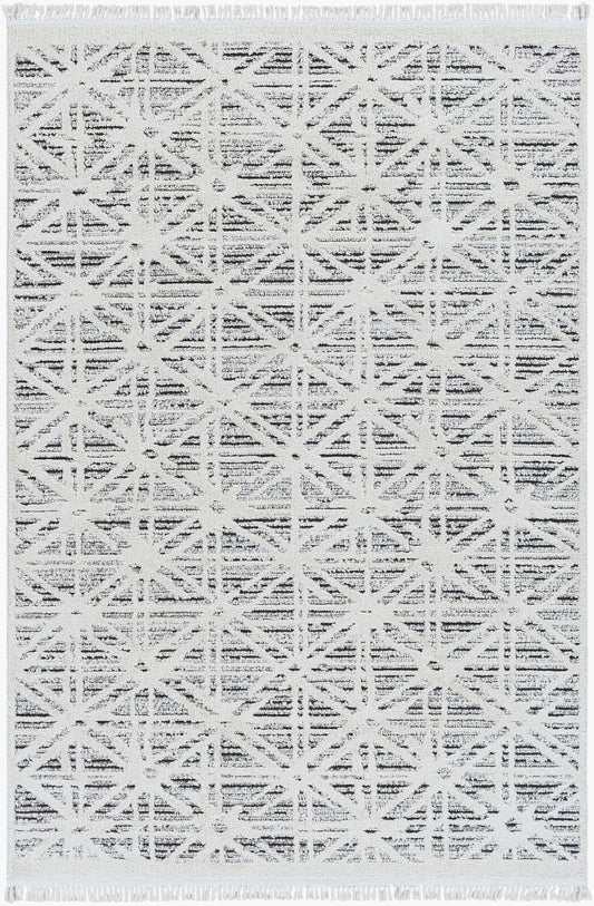 Berlin BLR-2304 6' x 9' Machine Woven Area Rug