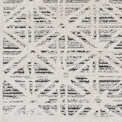 Berlin BLR-2304 6' x 9' Machine Woven Area Rug