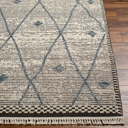 Berlin BLR-2310 5' x 7' Machine Woven Area Rug