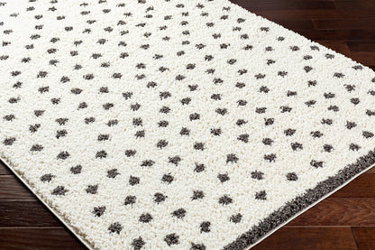 Birmingham BMM-2301 6' x 9' Machine Woven Area Rug