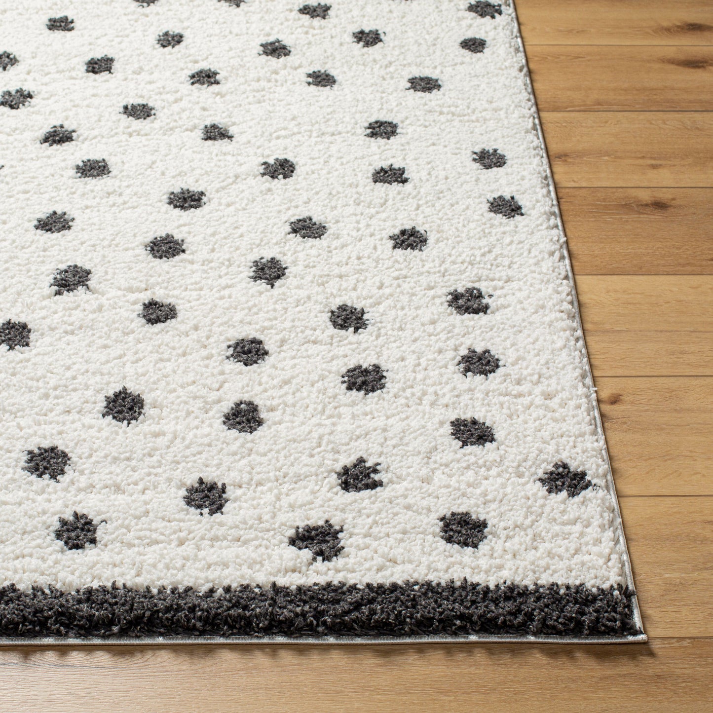 Birmingham BMM-2301 5' x 7' Machine Woven Area Rug
