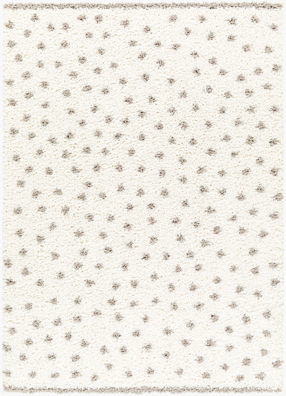 Birmingham BMM-2302 5' x 7' Machine Woven Area Rug