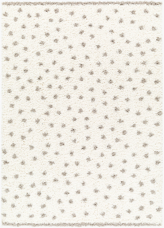 Birmingham BMM-2302 5' x 7' Machine Woven Area Rug