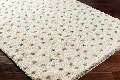 Birmingham BMM-2302 5' x 7' Machine Woven Area Rug