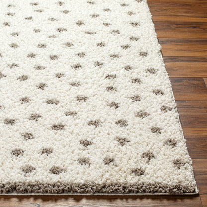 Birmingham BMM-2302 5' x 7' Machine Woven Area Rug
