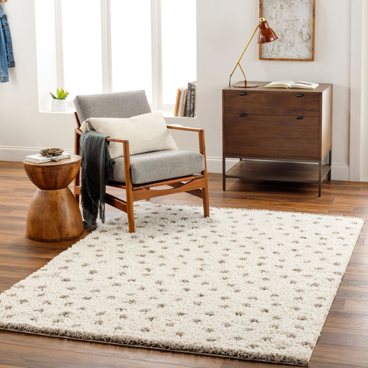 Birmingham BMM-2302 5' x 7' Machine Woven Area Rug