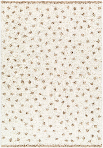 Birmingham BMM-2303 5' x 7' Machine Woven Area Rug