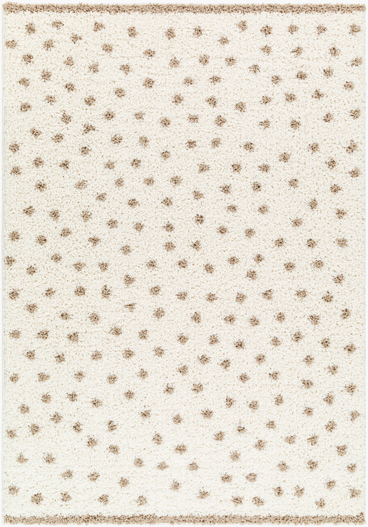 Birmingham BMM-2303 5' x 7' Machine Woven Area Rug