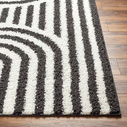 Birmingham BMM-2304 5' x 7' Machine Woven Area Rug