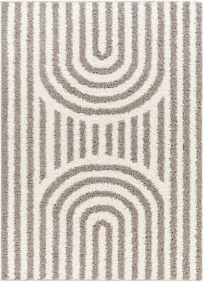 Birmingham BMM-2305 5' x 7' Machine Woven Area Rug