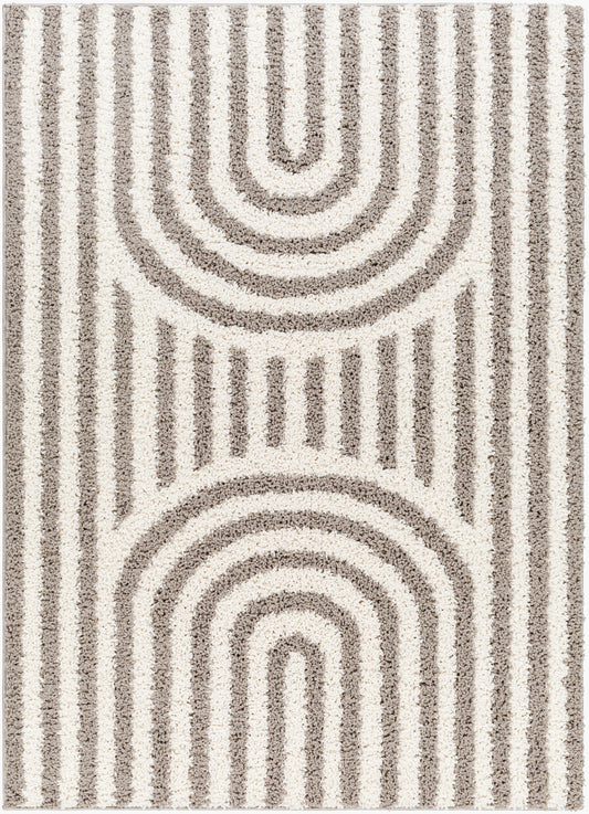 Birmingham BMM-2305 5' x 7' Machine Woven Area Rug