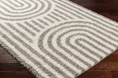 Birmingham BMM-2305 5' x 7' Machine Woven Area Rug