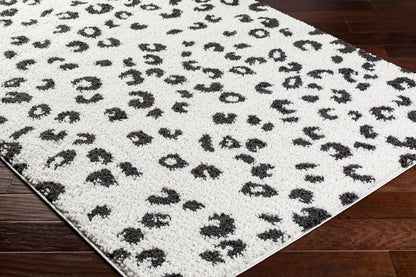 Birmingham BMM-2307 5' x 7' Machine Woven Area Rug