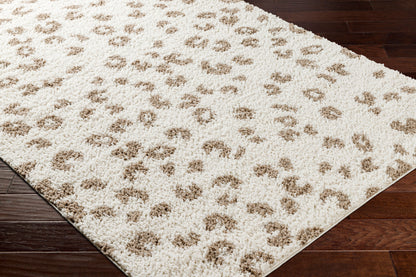 Birmingham BMM-2309 5' x 7' Machine Woven Area Rug