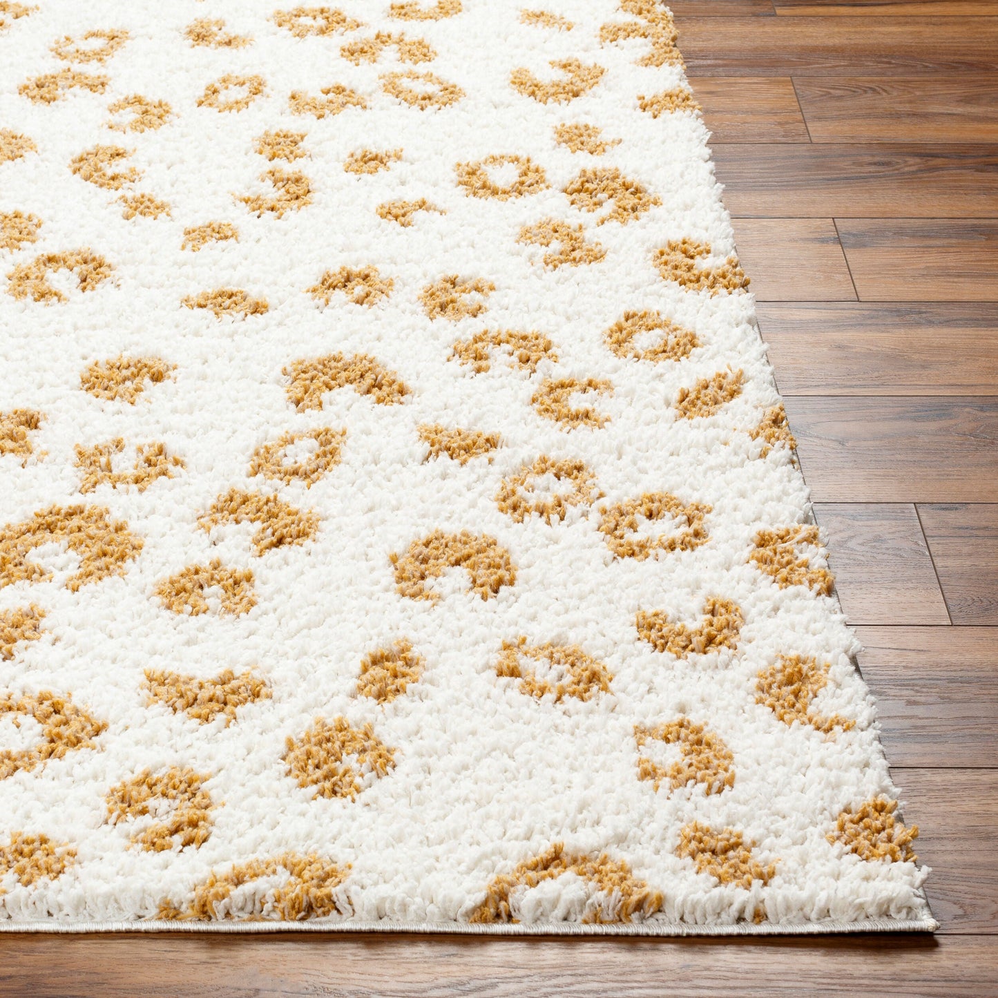 Birmingham BMM-2310 5' x 7' Machine Woven Area Rug
