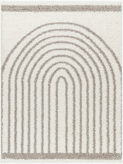 Birmingham BMM-2314 5' x 7' Machine Woven Area Rug