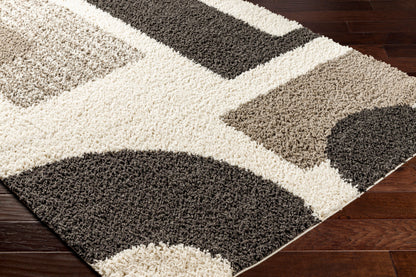 Birmingham BMM-2316 5' x 7' Machine Woven Area Rug