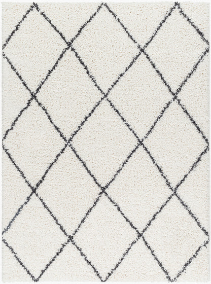 Birmingham BMM-2318 5' x 7' Machine Woven Area Rug